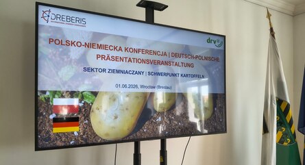 dekoratives Bild